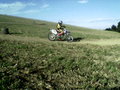 Motocross 20305750