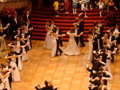 Wiener Opernball 2008 33243327