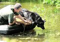 Polizei,Rettung und Feuerwehr 13583771