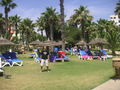 MAGIC LIFE 2009 - TUNESIEN 62533947