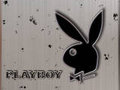 Playboy 13697855