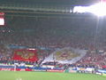 EURO 2008 44914630