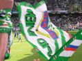 Rapid Wien.. 45748224