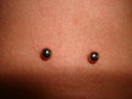 Irezumi Piercing Dani  13634791