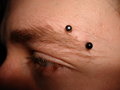 Irezumi Piercing Dani  13693936