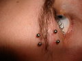 Irezumi Piercing Dani  15594372