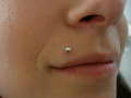 Irezumi Piercing Dani  15785100