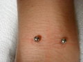 Irezumi Piercing Dani  17168903