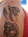 TATTOO NEU 22602900