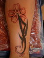 TATTOO NEU 27650004