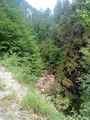 Wandern mit best Friends 7.6.2009 61573922