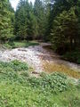 Wandern mit best Friends 7.6.2009 61574061