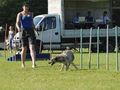 Agility Tuniere 40674029