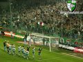 SK RAPID WIEN 26793068