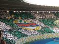 RAPID WIEN - FC LIVERPOOL 19.7.09 63514749