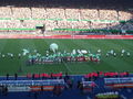 RAPID WIEN - FC LIVERPOOL 19.7.09 63514755