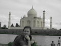 Agra - Taj Mahal 40407972