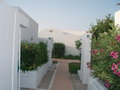 Urlaub in Tunesien 2007 24555107