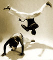 Capoeira 39381526