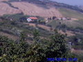 Urlaub (Italien Pineto 2006) 13556796