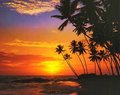 aloa_at_hawaii - Fotoalbum