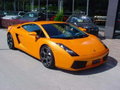 LAMBORGHINI 4 EVER !!!!! 28989156