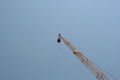 ♥ Bungee Jumping ♥ 64266222