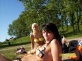 Sommer in Wien 64070340