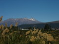 Tongariro National Park 16928312