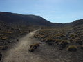 Tongariro National Park 16928322