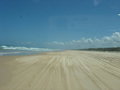 Fraser Island 22026959