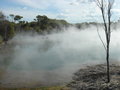 Rotorua und Taupo 22321659