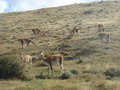 Patagonien - chilenischer Teil 22352502