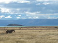 El Chaltén und El Calafate 22352552