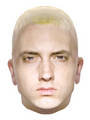 eminem 16271267