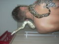 my snake 33344215