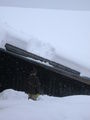 Schneeeeeeeeee 55599276