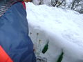 Schneeeeeeeeee 55599799