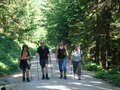 Wandern Gradnalm 21439248