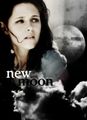 New Moon 71202618