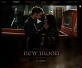 New Moon 71202640