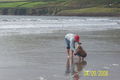 Irland 2008 44974788