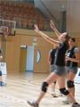 Volleyball Mix 53709422