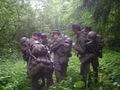 Bundesheer ET v/08 47638912