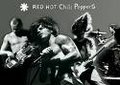 RHCP-einfoch geil 14509258