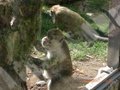 meine nichte und ich im Tierpark 19588101