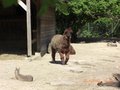 meine nichte und ich im Tierpark 19588138