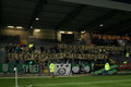 Sv Ried 17206653