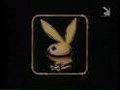 playboy 13914957