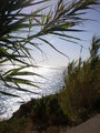 Urlaub Ischia 2007 23565504